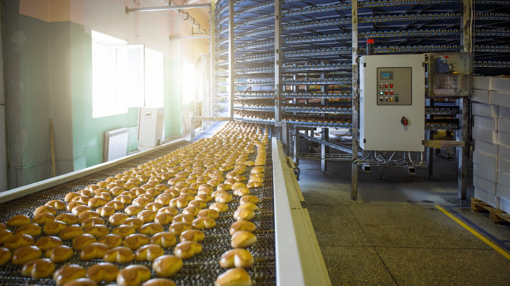 bakery production line 