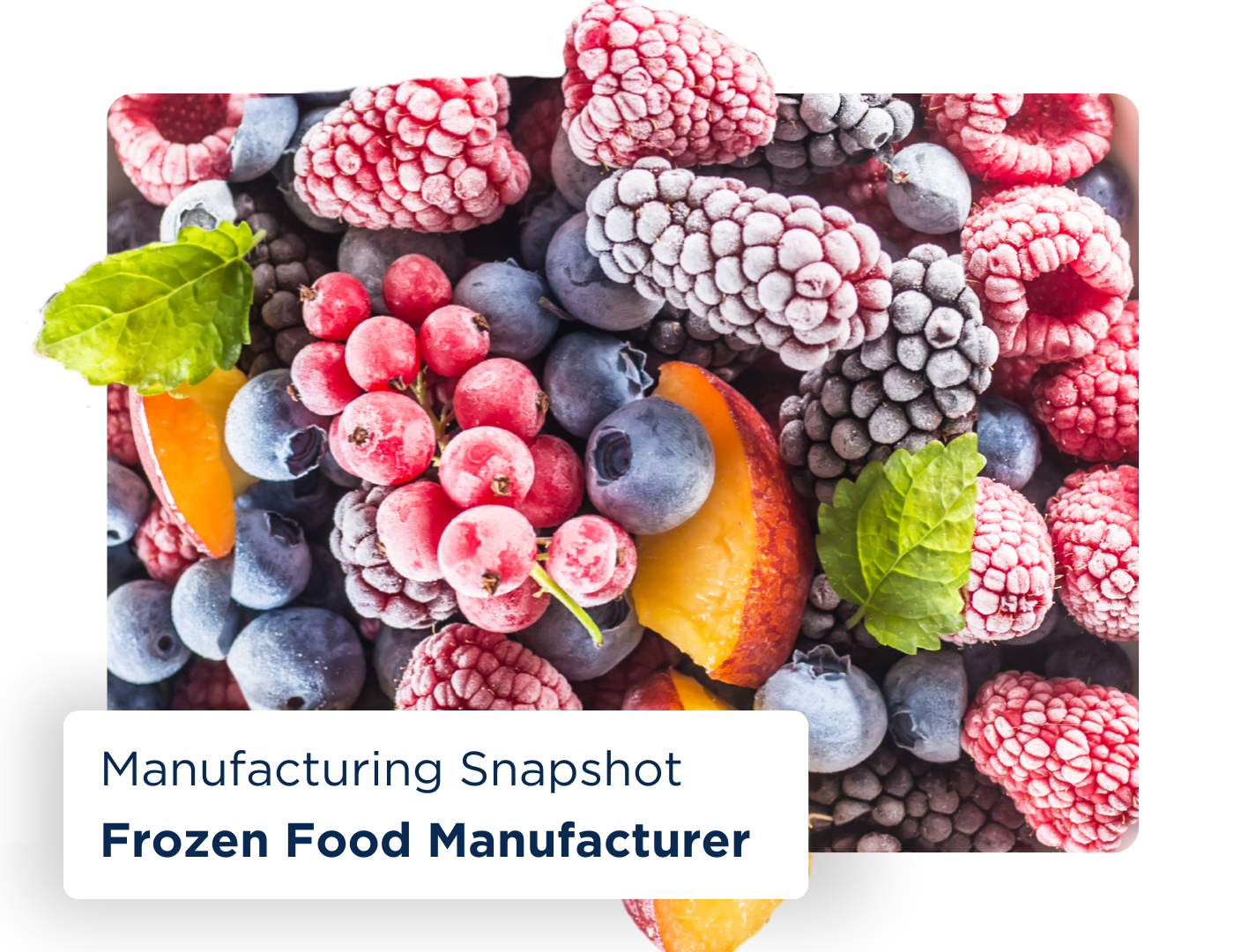 Decision Resources Manufacturing Snapshot Frozen Food Manufacturer Case Study