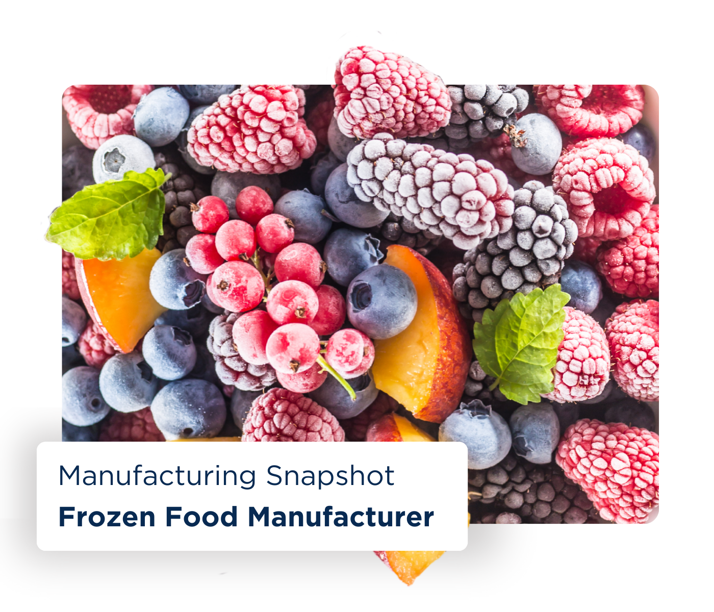 Decision Resources Manufacturing Snapshot Frozen Food Manufacturer Case Study